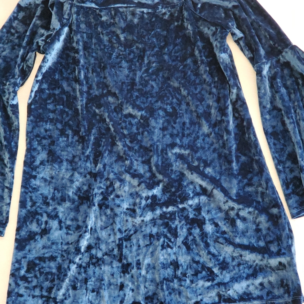 True Destiny Beautiful Blue Velveteen Look Long Sleeve Top Sz. L
